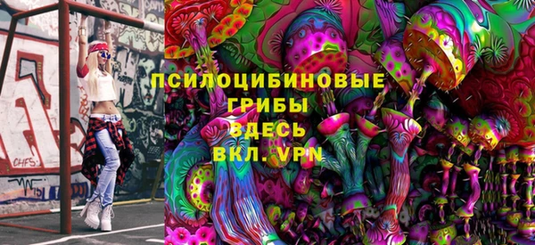 ГАЛЛЮЦИНОГЕННЫЕ ГРИБЫ Карпинск