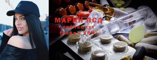 ГАЛЛЮЦИНОГЕННЫЕ ГРИБЫ Карпинск