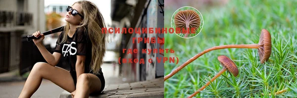 ГАЛЛЮЦИНОГЕННЫЕ ГРИБЫ Карпинск