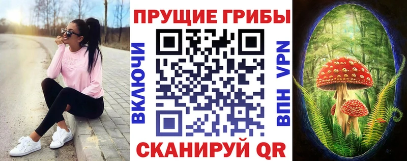 гидра ССЫЛКА  Кумертау  Галлюциногенные грибы Cubensis 